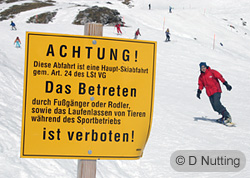 [Foto: Snowboarden am Nebelhorn, Bayern / copyright D Nutting]